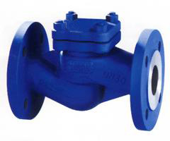 |Lift check valve|