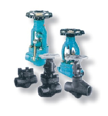 |Forged globe valve|